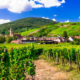 Les plus beaux villages d'Alsace