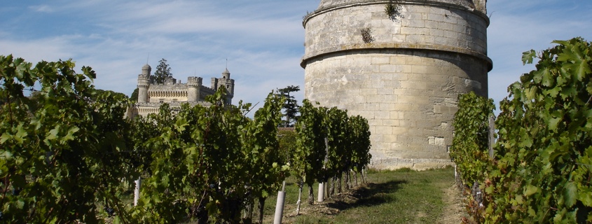 Terroir-entre-deux-mers-bordeaux