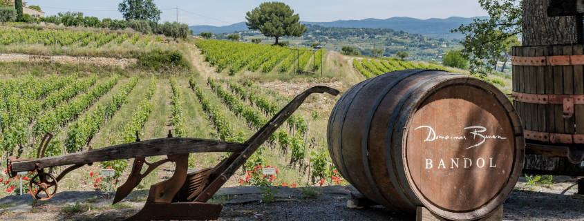 photo-domaines-bunan