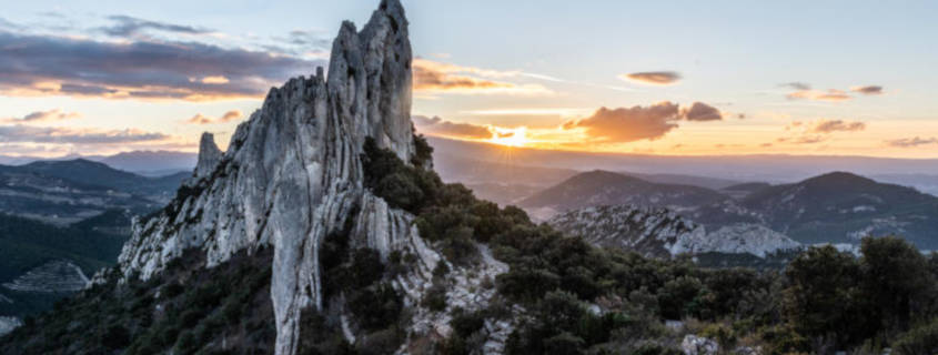 dentelles-de-montmirail