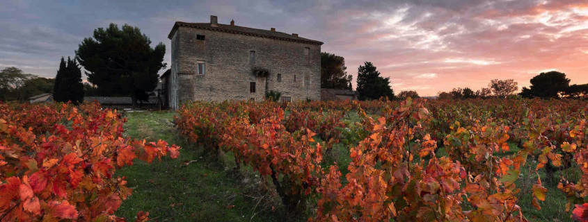 domaine-saint-pierre-d-escarvaillac