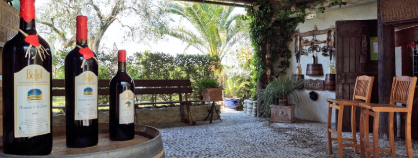 Appellation Bellet, vignoble de Provence