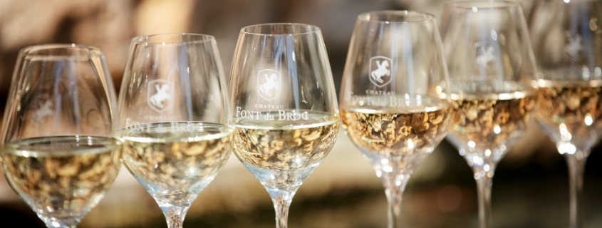 vin blanc de l'AOC Côtes de Provence