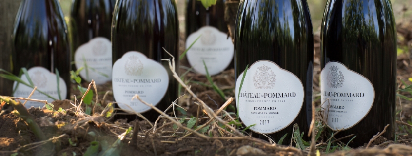 AOC Pommard, appellation du vignoble de la Côte de Beaune, en Bourgogne
