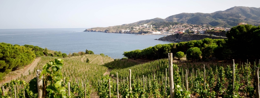 AOC Banyuls