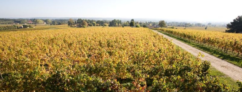 AOC Pécharmant