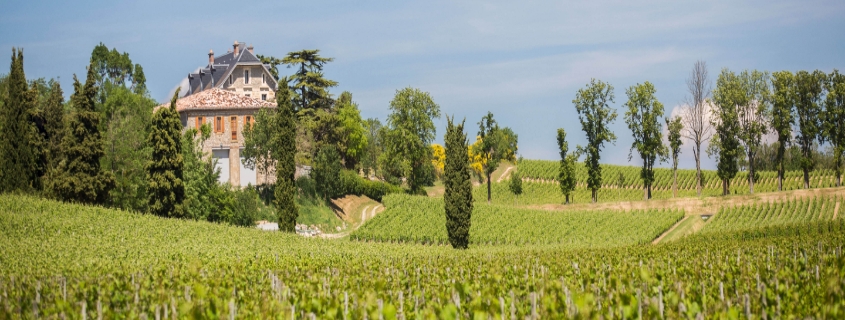 AOC Blanquette de Limoux