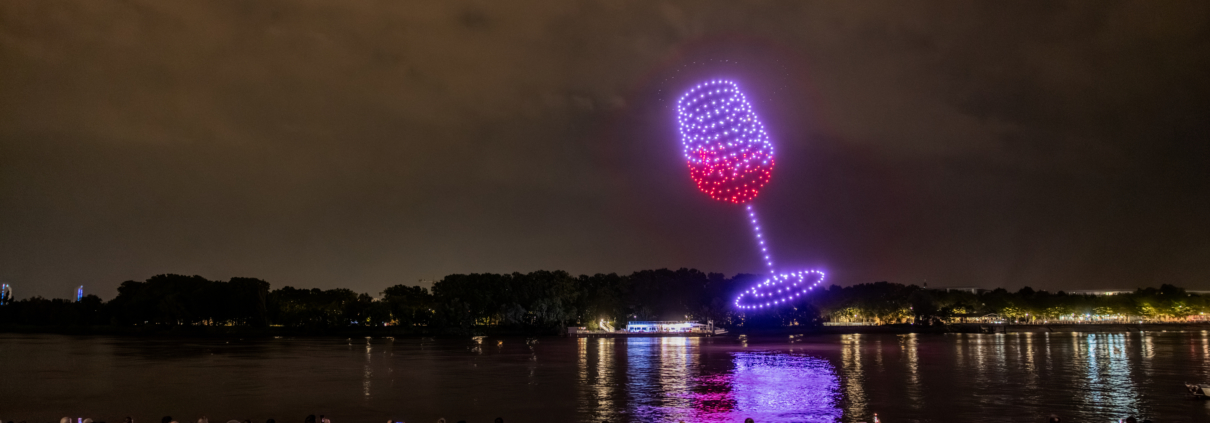 Bordeaux Fête le Vin