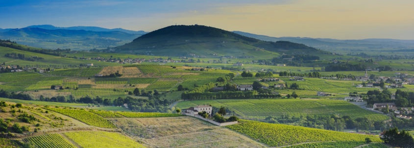 Tourisme dans le Beaujolais