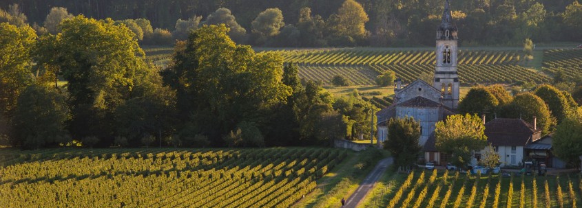 Vignoble France