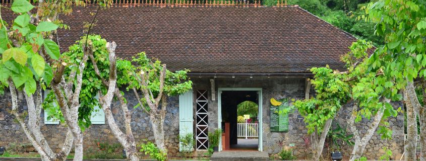 visiter le musée de la banane, incontournable de la Martinique quand il pleut