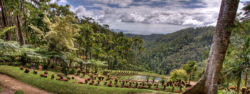 Visiter la Martinique quand il pleut