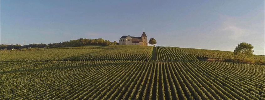 vignoble en Champagne - plus beaux villages autour de Reims