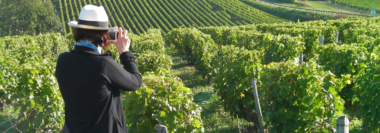 wine tour